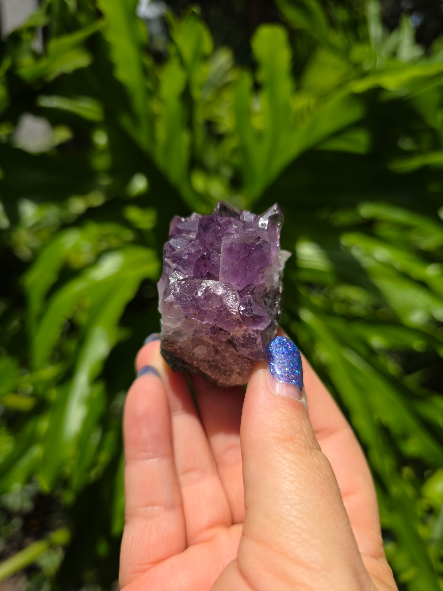 Amethyst Clusters on Quartz Matrix [I]