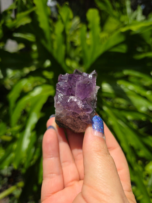 Amethyst Clusters on Quartz Matrix [I]