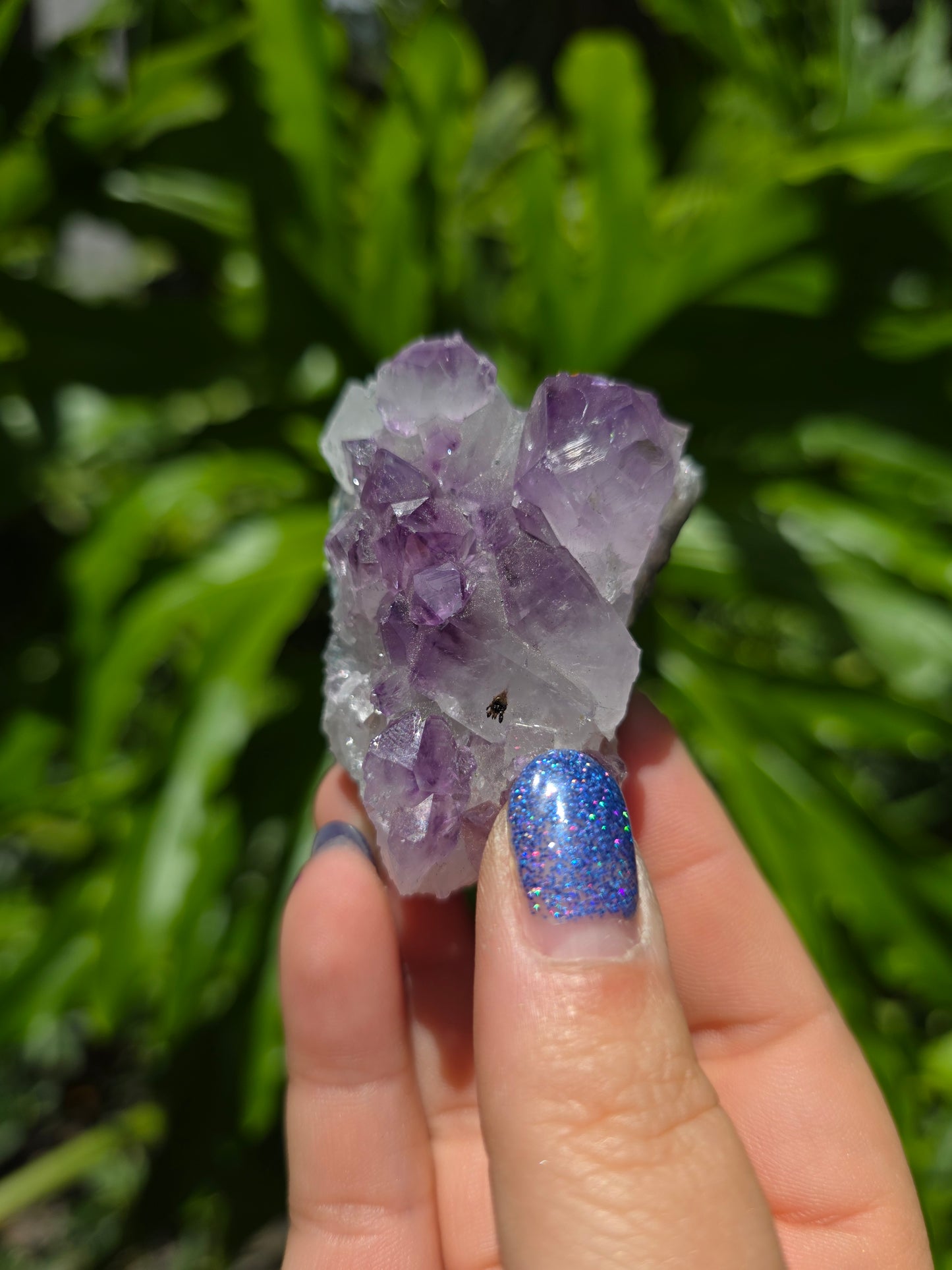 Amethyst Clusters on Quartz Matrix [J]