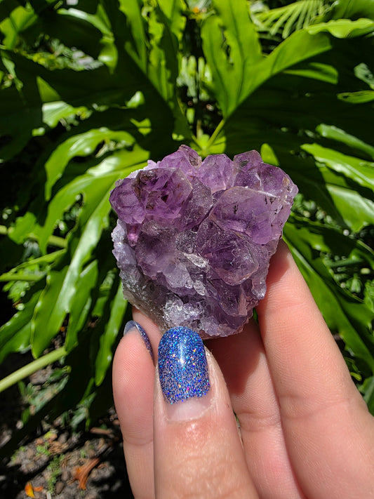 Amethyst Clusters on Quartz Matrix [K]