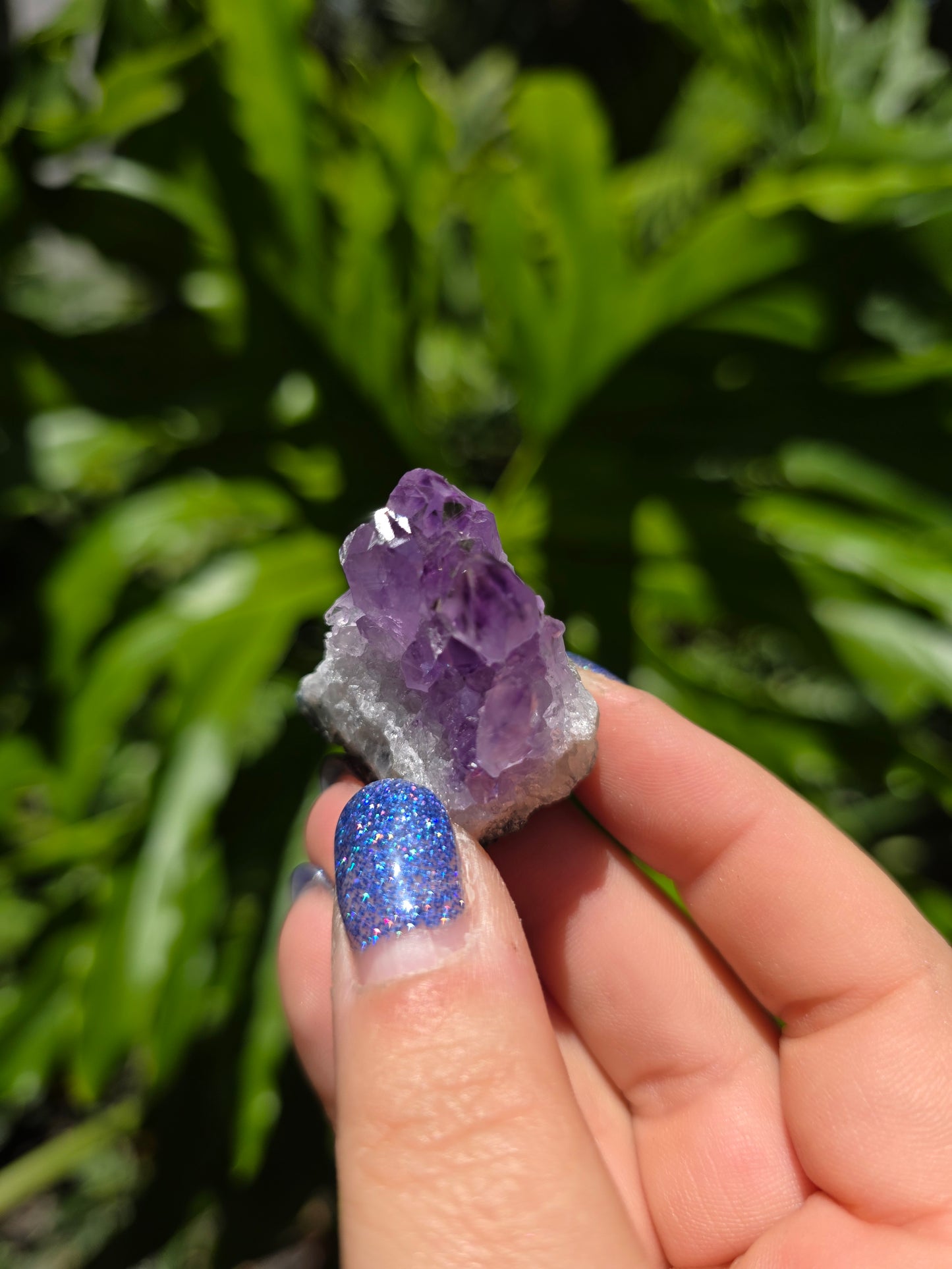 Amethyst Clusters on Quartz Matrix [L]