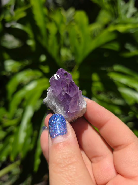 Amethyst Clusters on Quartz Matrix [L]