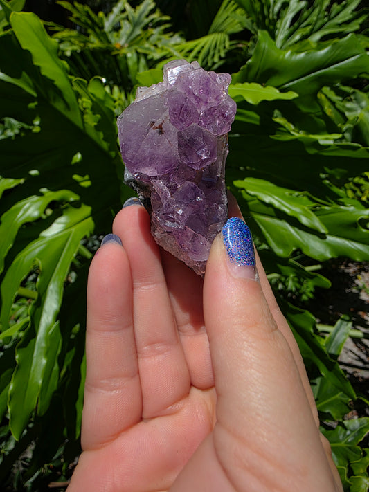 Amethyst Clusters on Quartz Matrix [M]