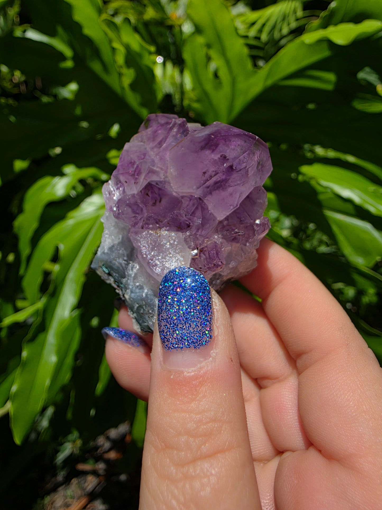Amethyst Clusters on Quartz Matrix [N]