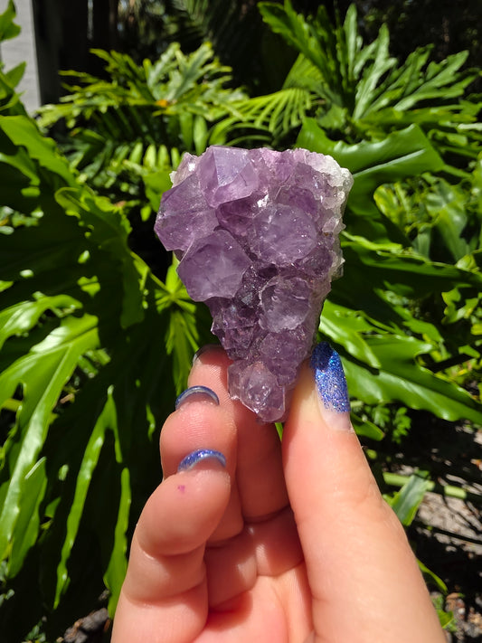 Amethyst Clusters on Quartz Matrix [O]