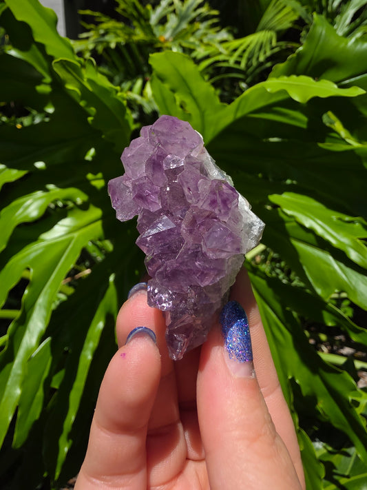 Amethyst Clusters on Quartz Matrix [P]