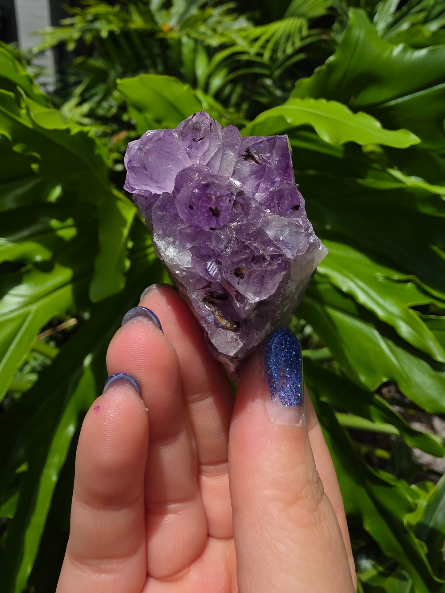 Amethyst Clusters on Quartz Matrix [Q]
