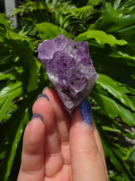 Amethyst Clusters on Quartz Matrix [Q]