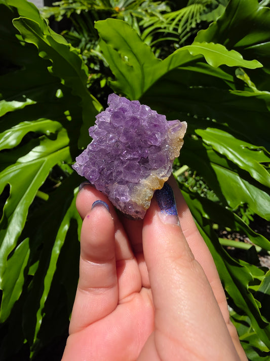 Amethyst Clusters on Quartz Matrix [R]