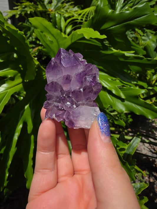 Amethyst Clusters on Quartz Matrix [S]