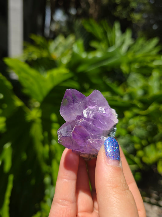Amethyst Clusters on Quartz Matrix [T]