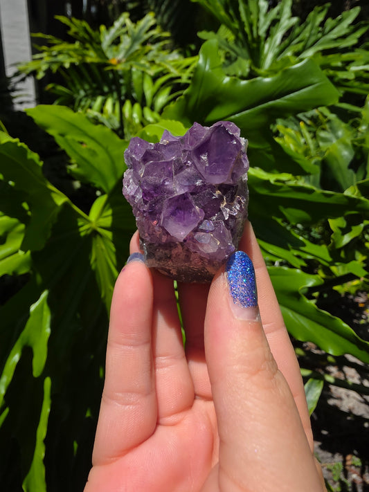 Amethyst Clusters on Quartz Matrix [U]