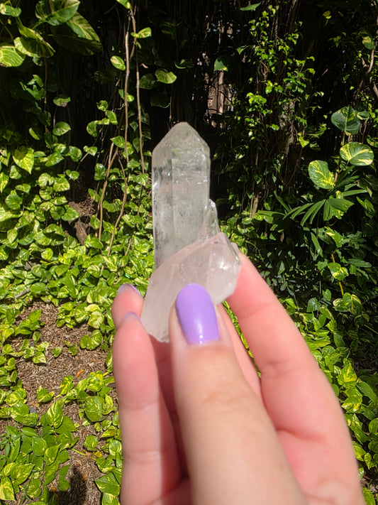 Clear Quartz Cluster [A]