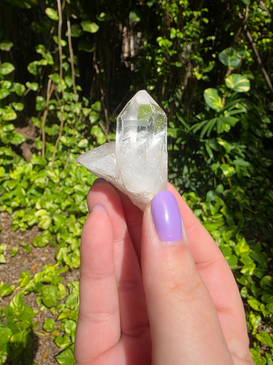 Clear Quartz Cluster [C]