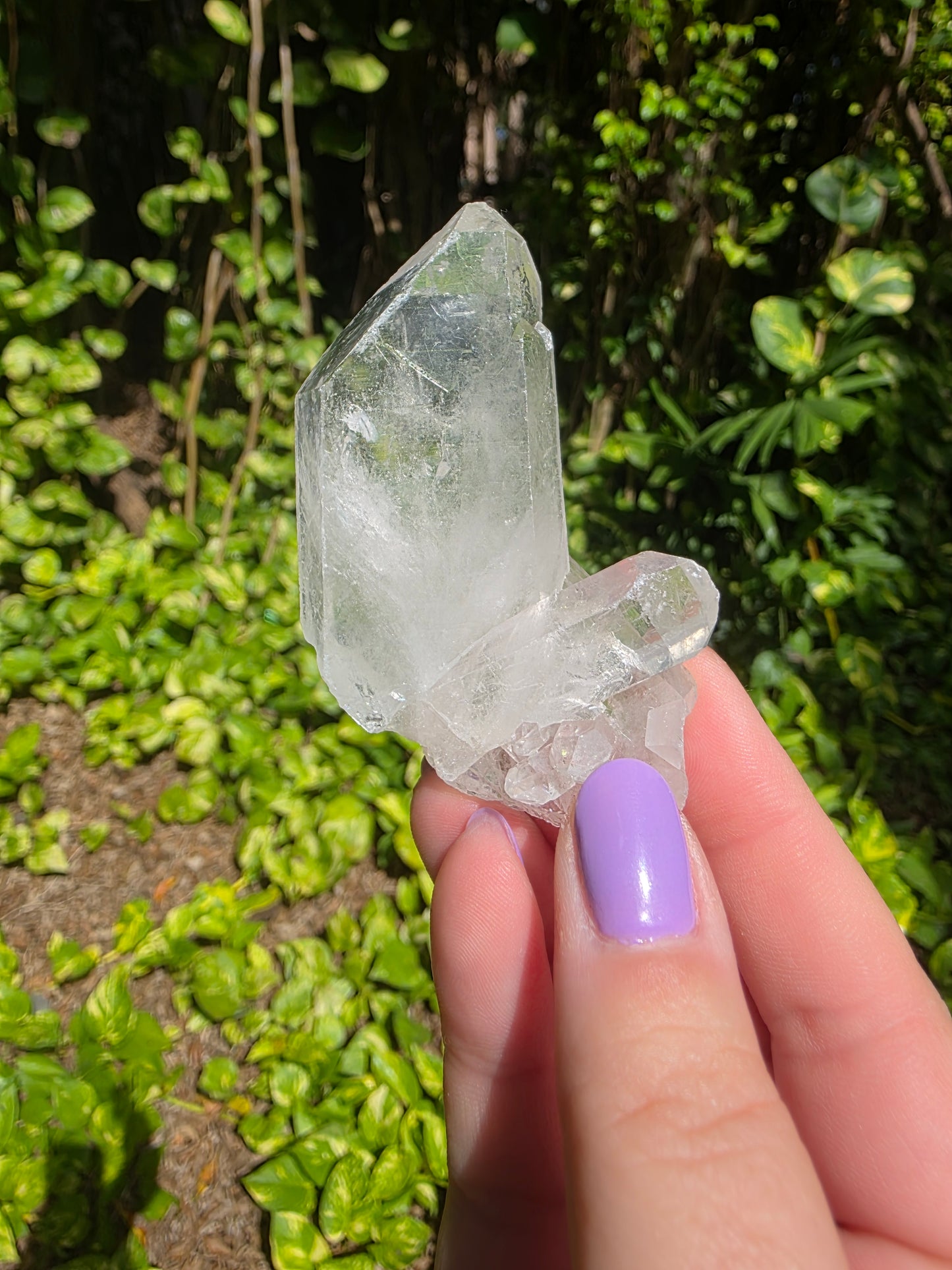 Clear Quartz Cluster [D]