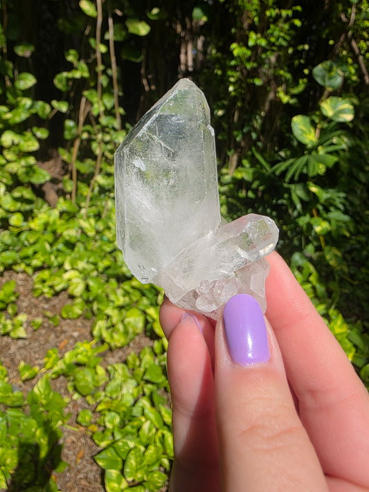 Clear Quartz Cluster [D]