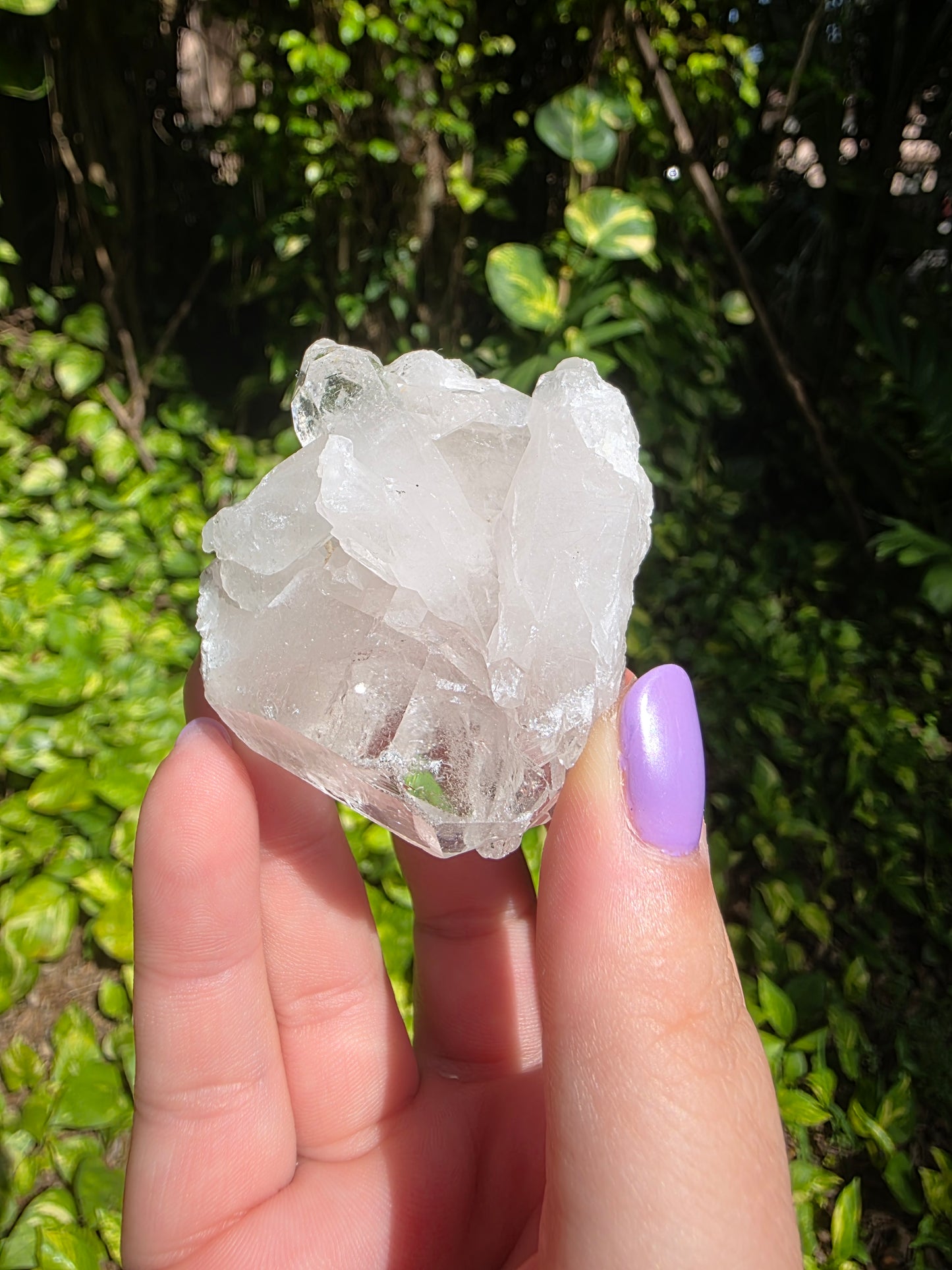 Clear Quartz Cluster [F]