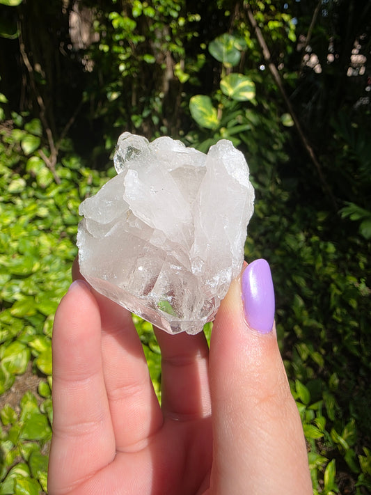 Clear Quartz Cluster [F]