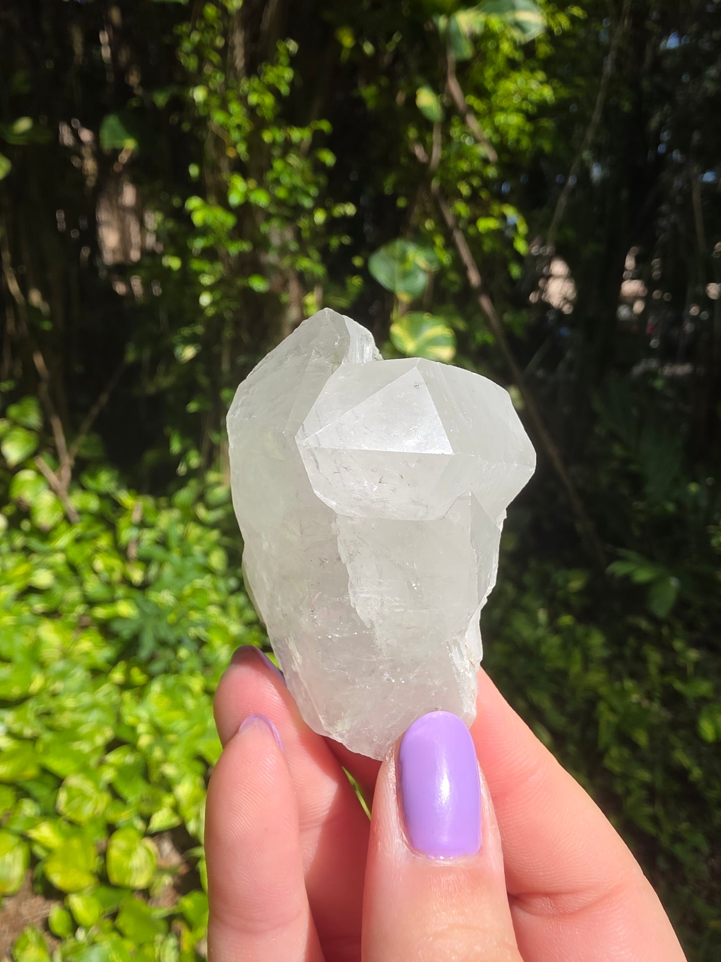 Clear Quartz Cluster [G]