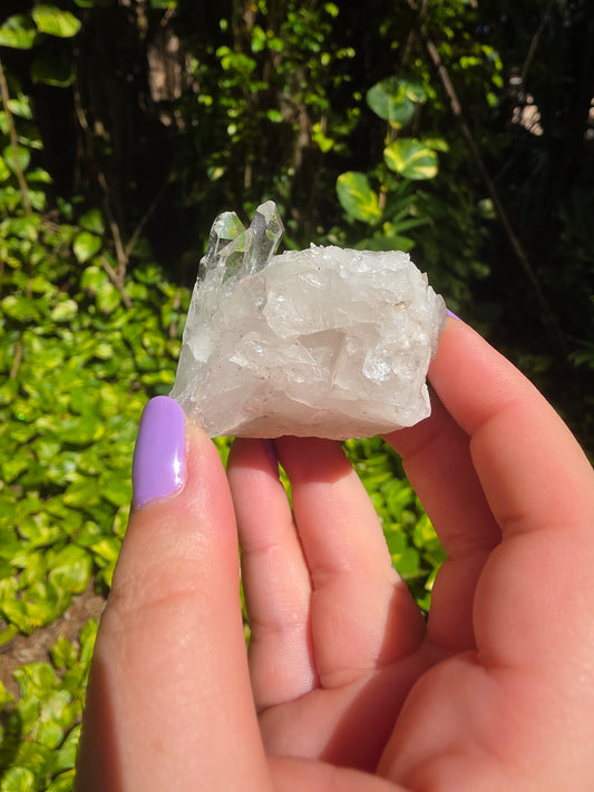 Clear Quartz Cluster [H]