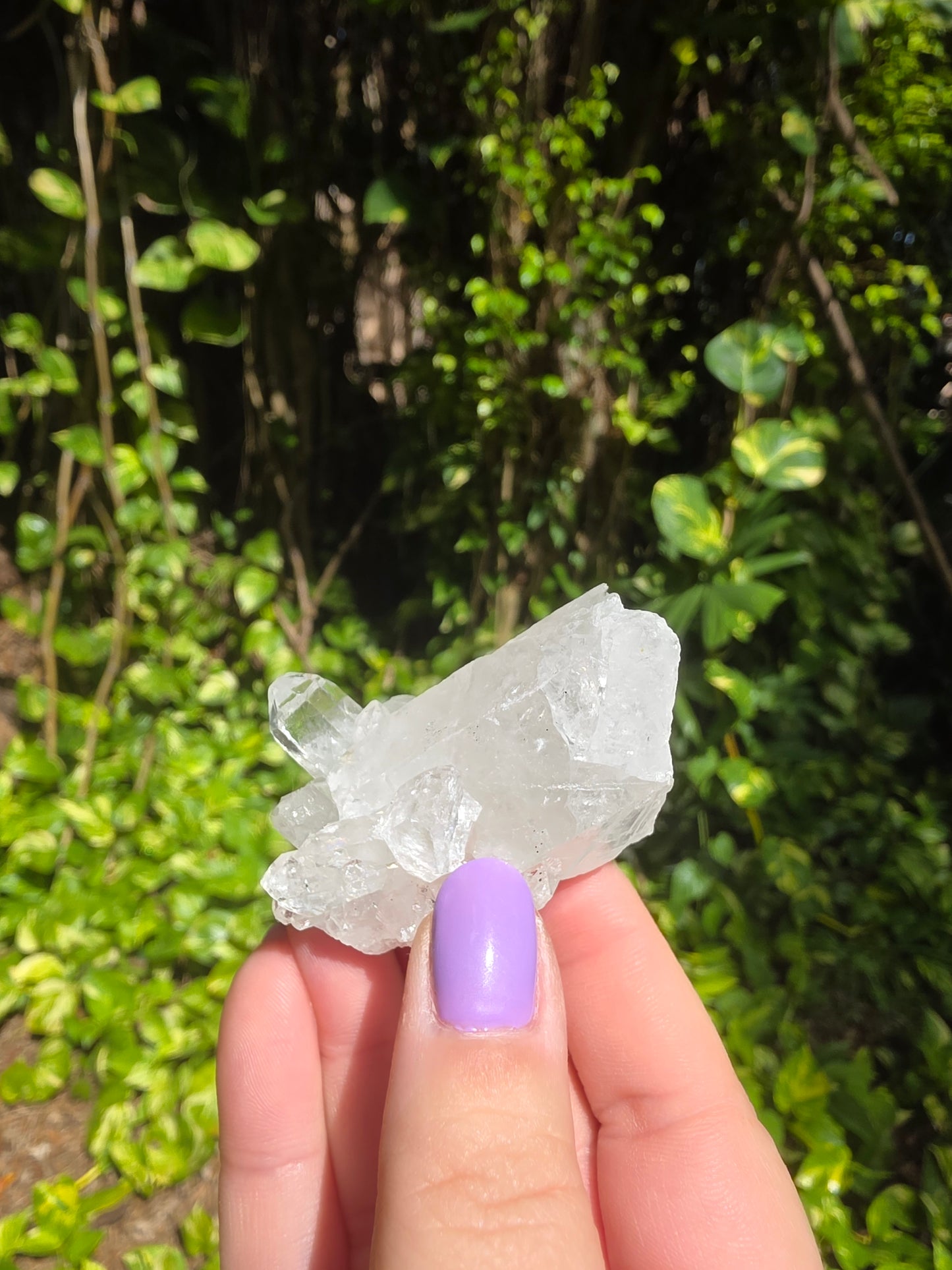 Clear Quartz Cluster [I]