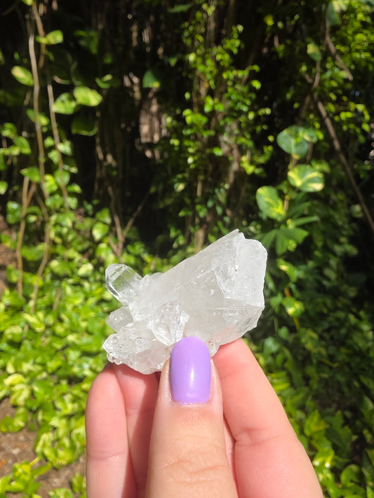 Clear Quartz Cluster [I]