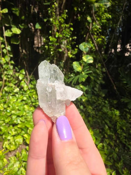 Clear Quartz Cluster [L]