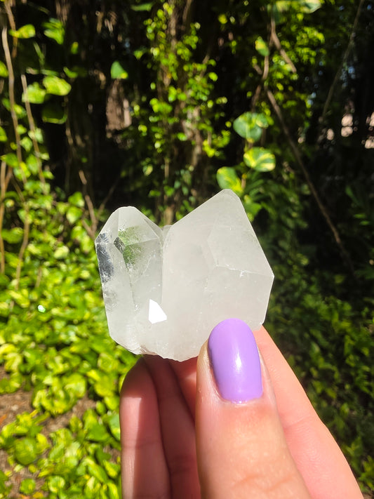 Clear Quartz Cluster [N]