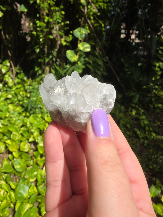 Clear Quartz Cluster [O]