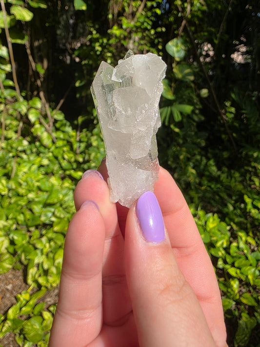 Clear Quartz Cluster [S]