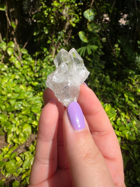 Clear Quartz Cluster [T]