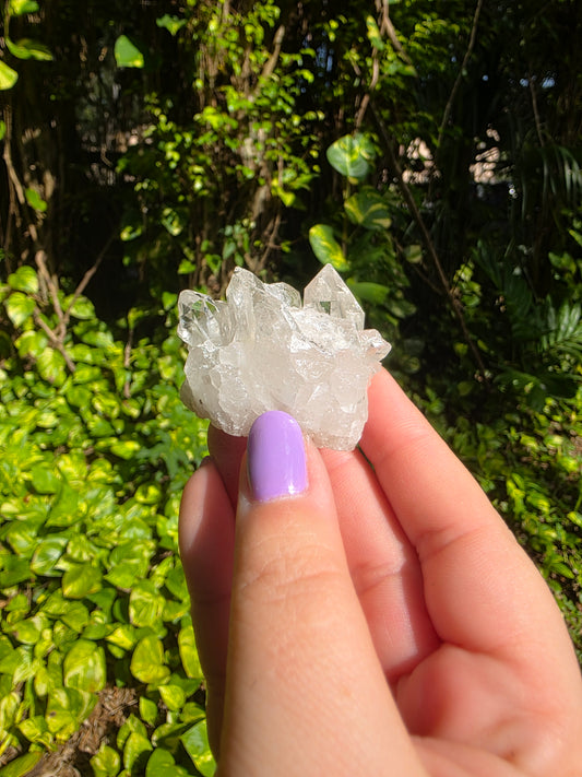 Clear Quartz Cluster [U]