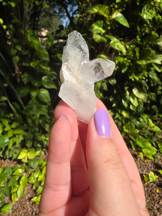 Clear Quartz Cluster [X]