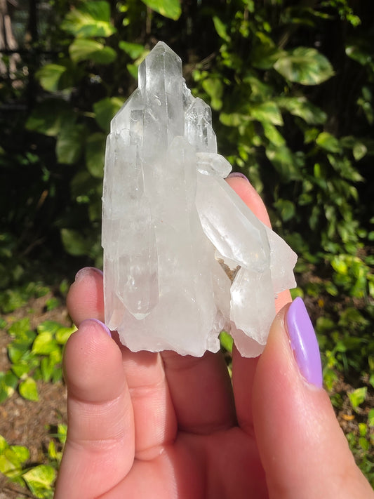 Clear Quartz Cluster [Y]