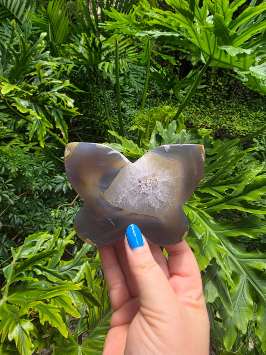 Agate Butterfly • Option G • Brazil