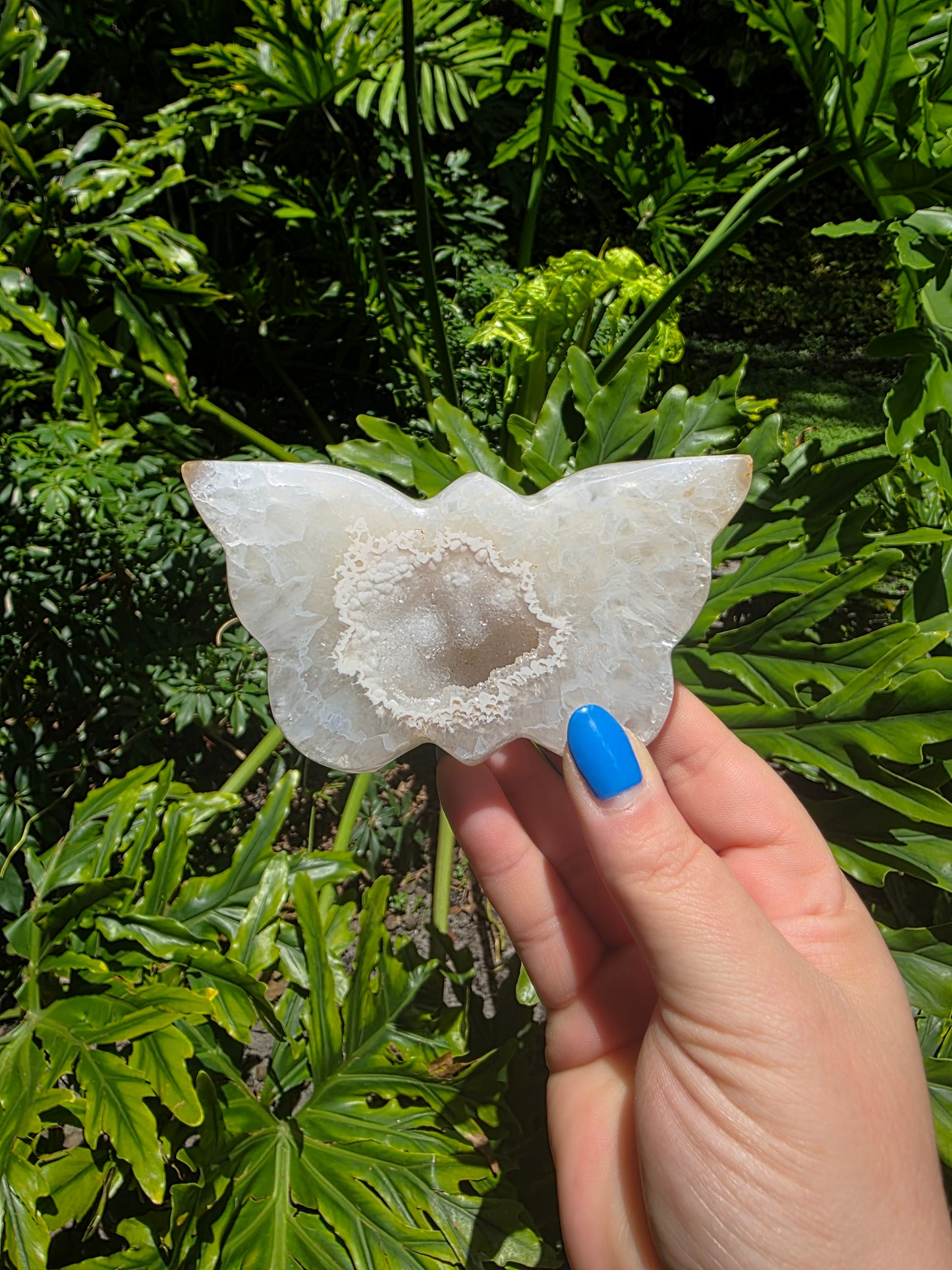 Moonwing Glow - Agate Butterfly