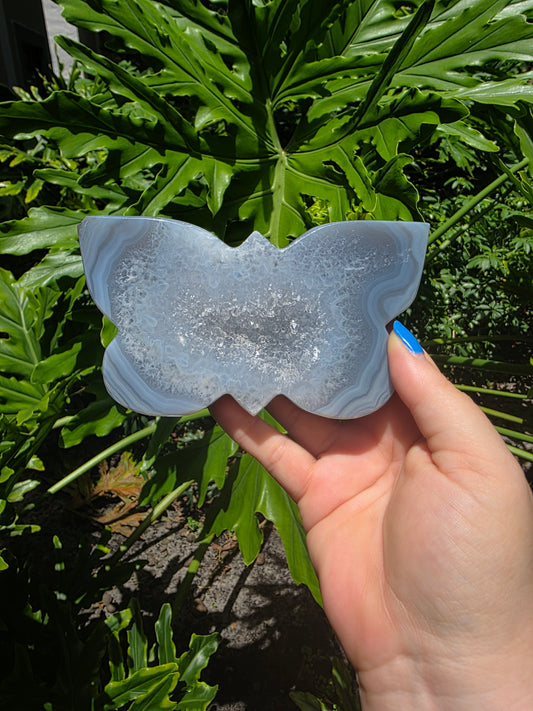 Silver Mistwing - Agate Butterfly