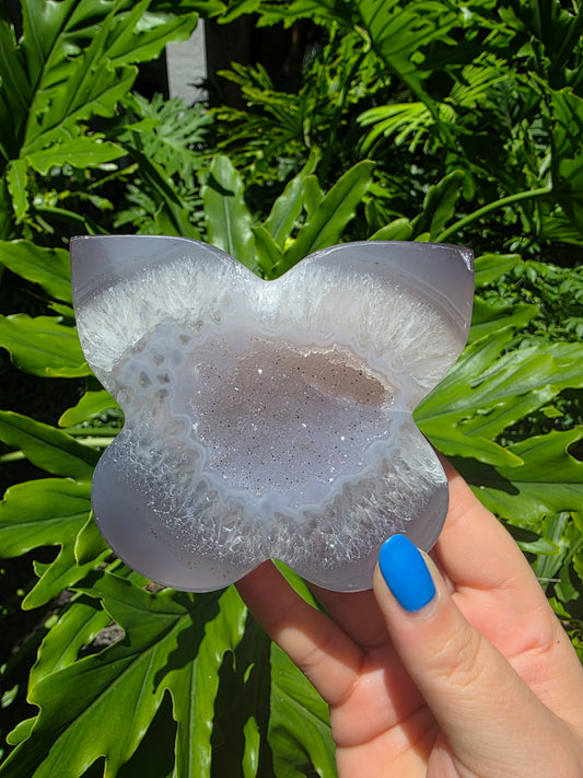 Wisteria Drift - Agate Butterfly