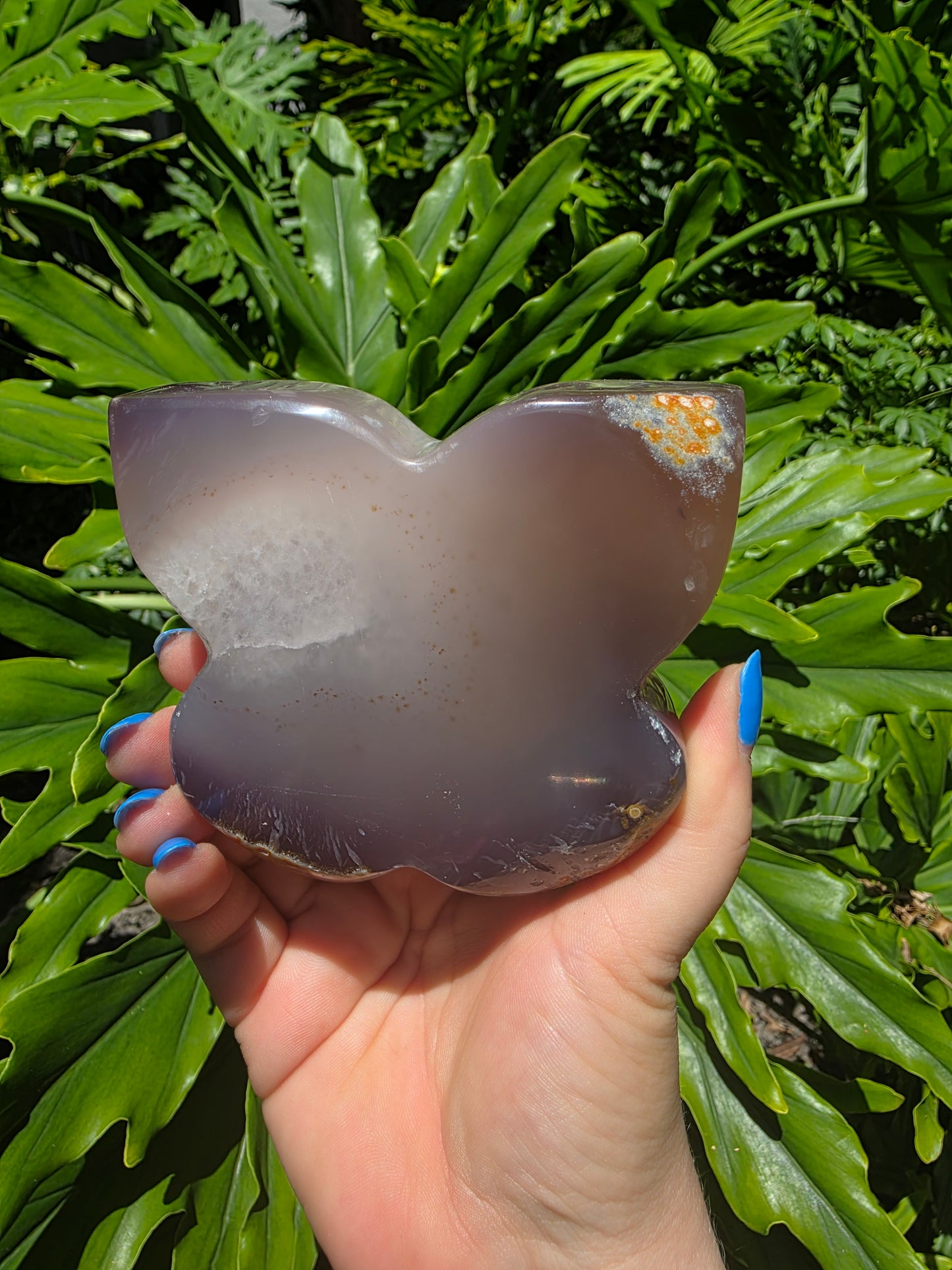 Wisteria Drift - Agate Butterfly
