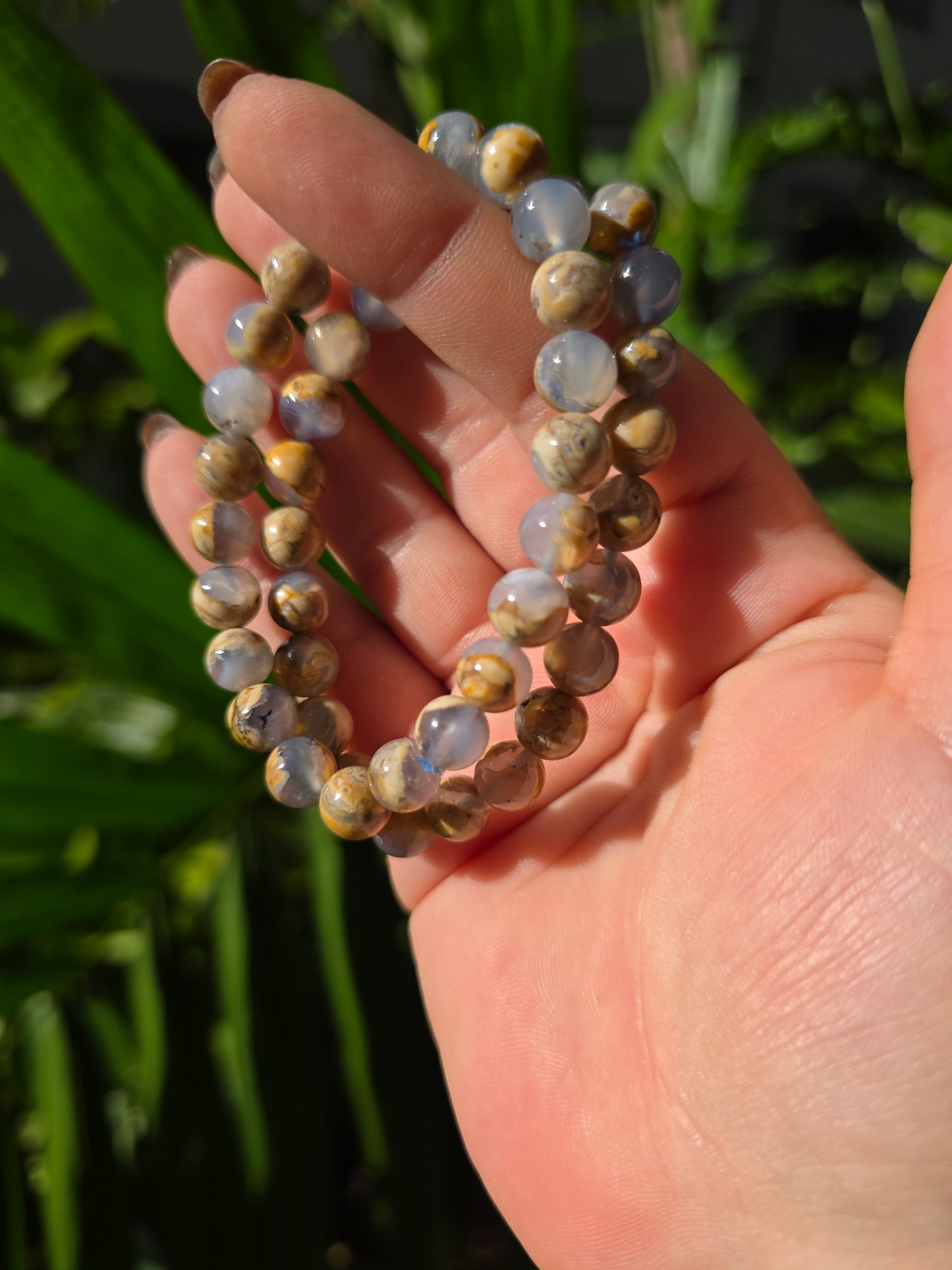 Blue Lace Agate with Jasper Matrix [8mm]