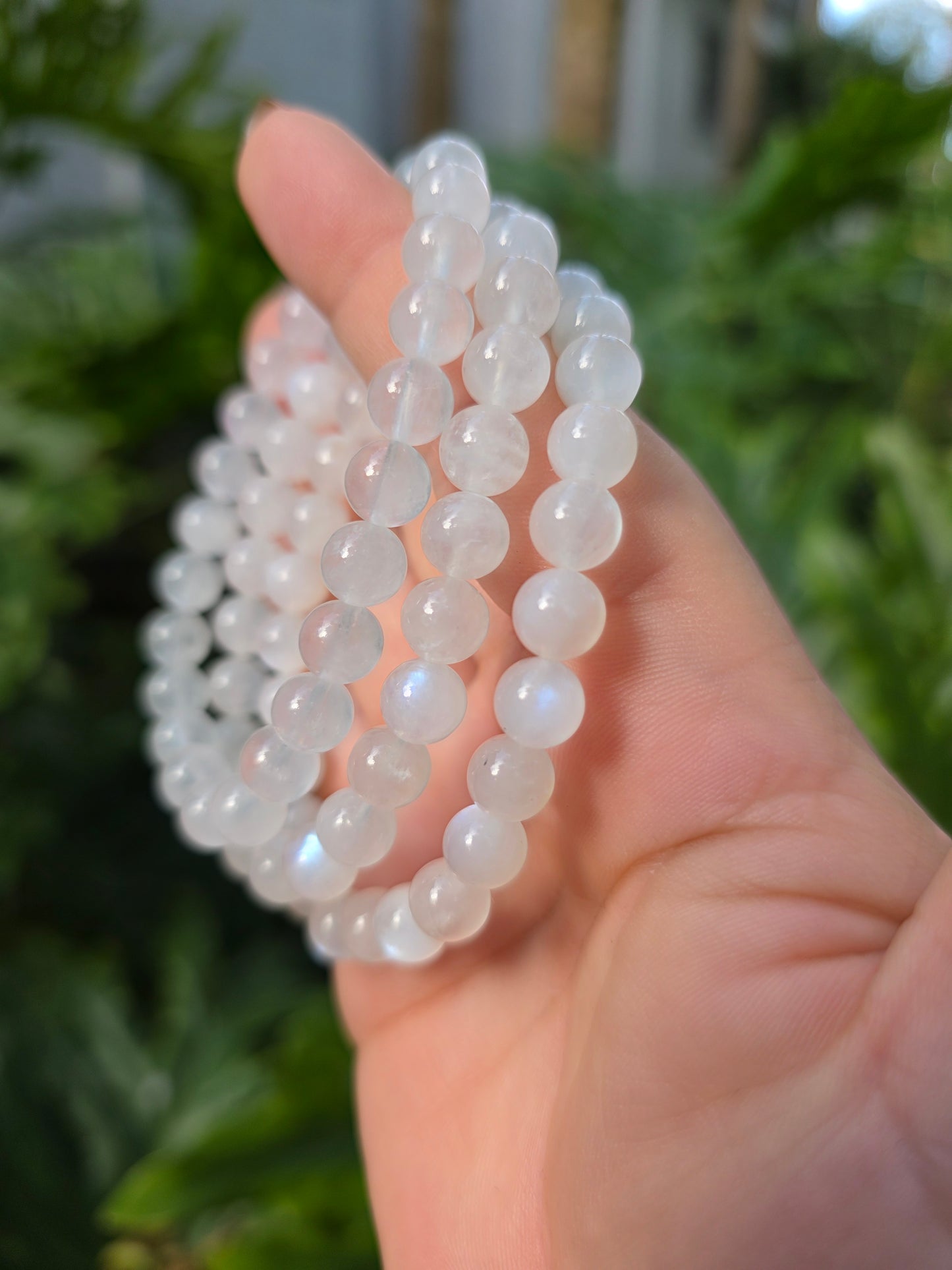 Moonstone Beaded Bracelet [8mm]