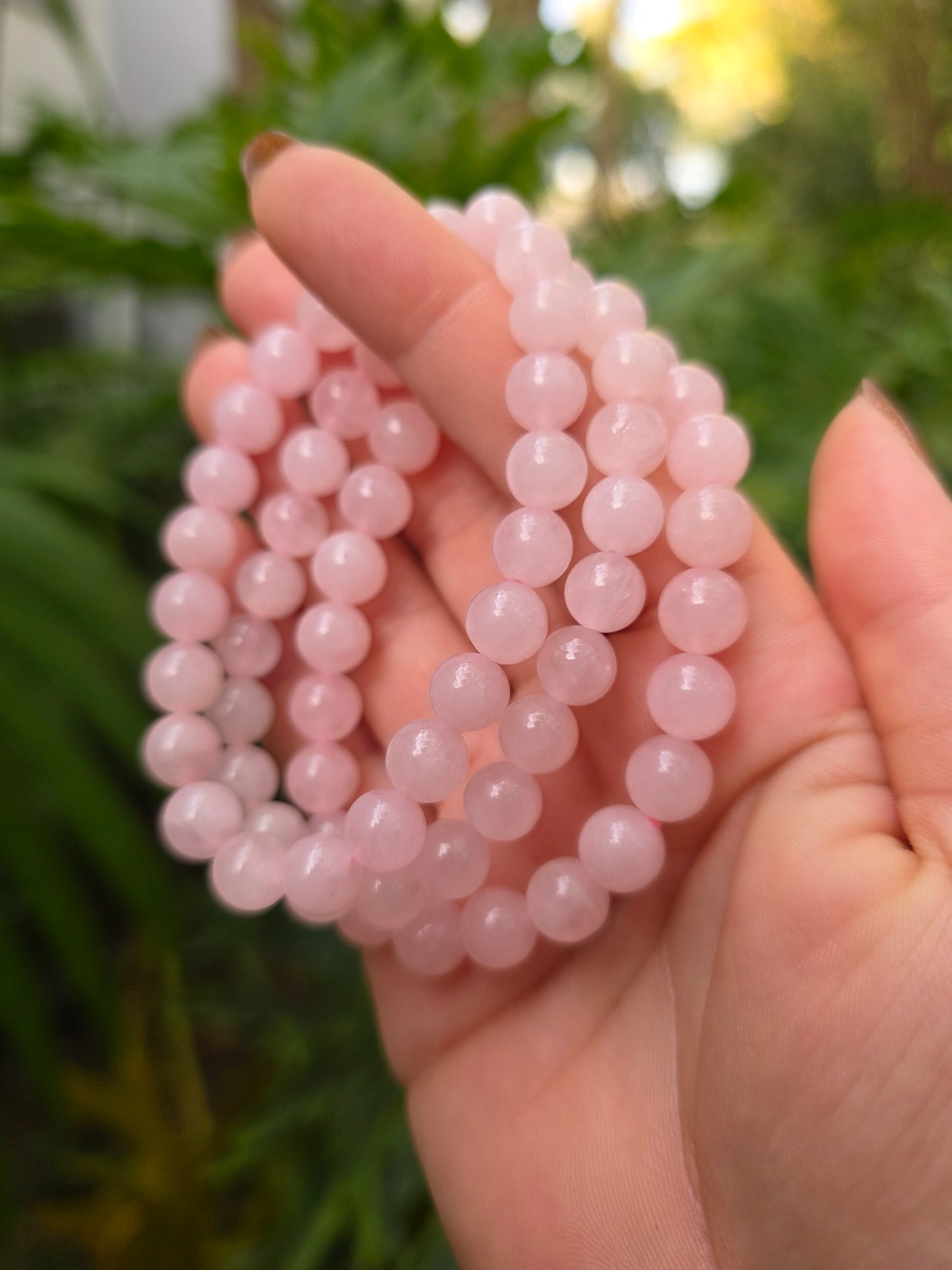 Rose Quartz Beaded Bracelet [8mm]