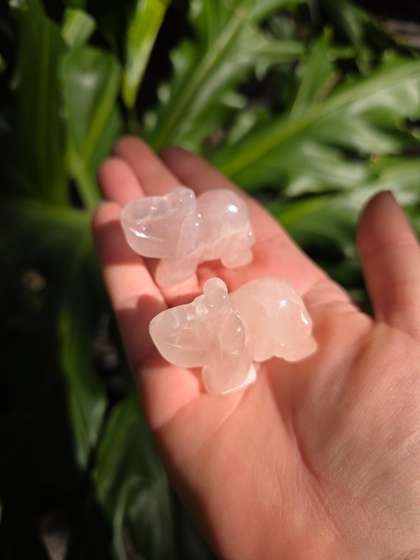 Rose Quartz Mini Elephant | A