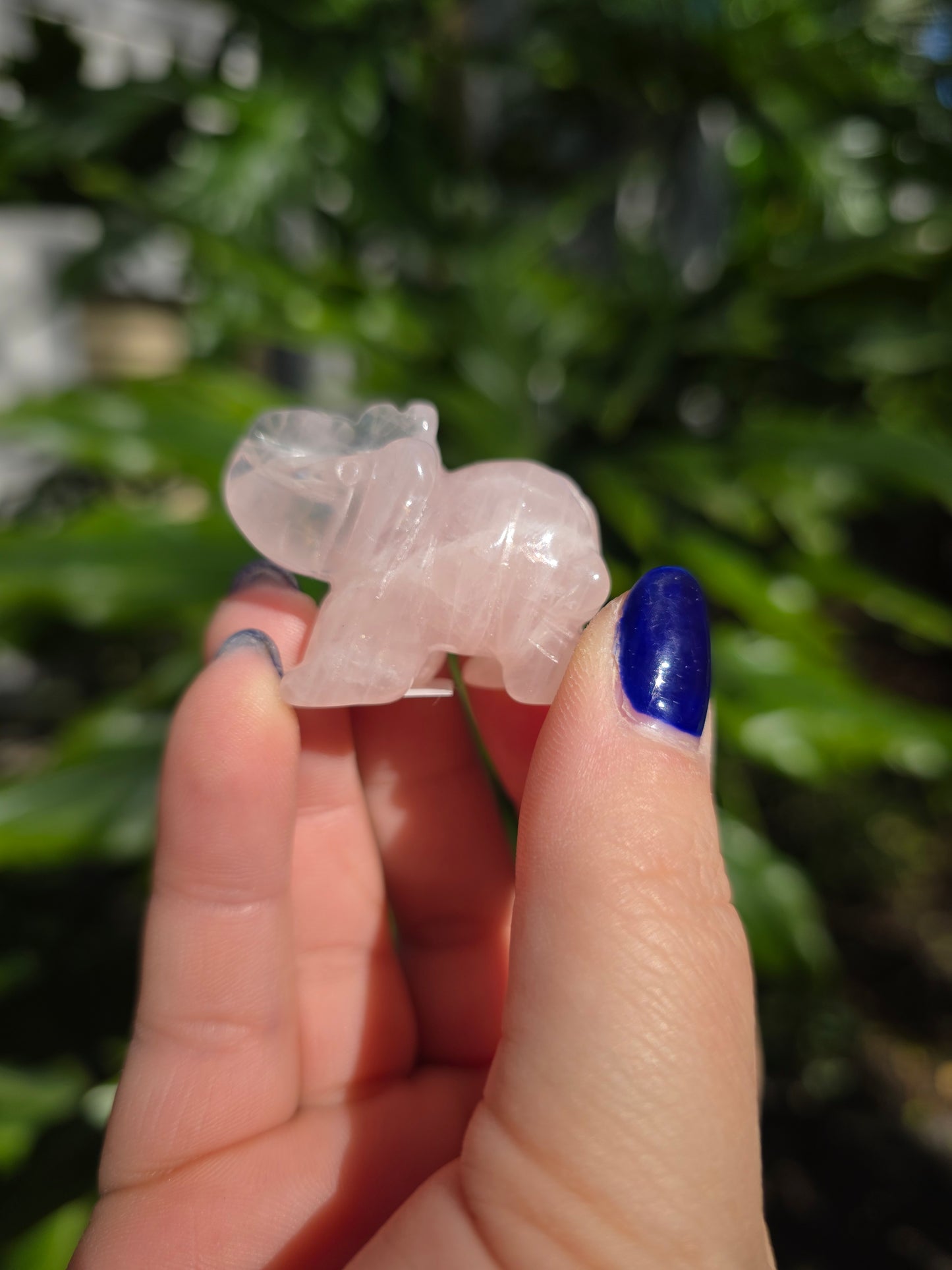 Rose Quartz Mini Elephant | B