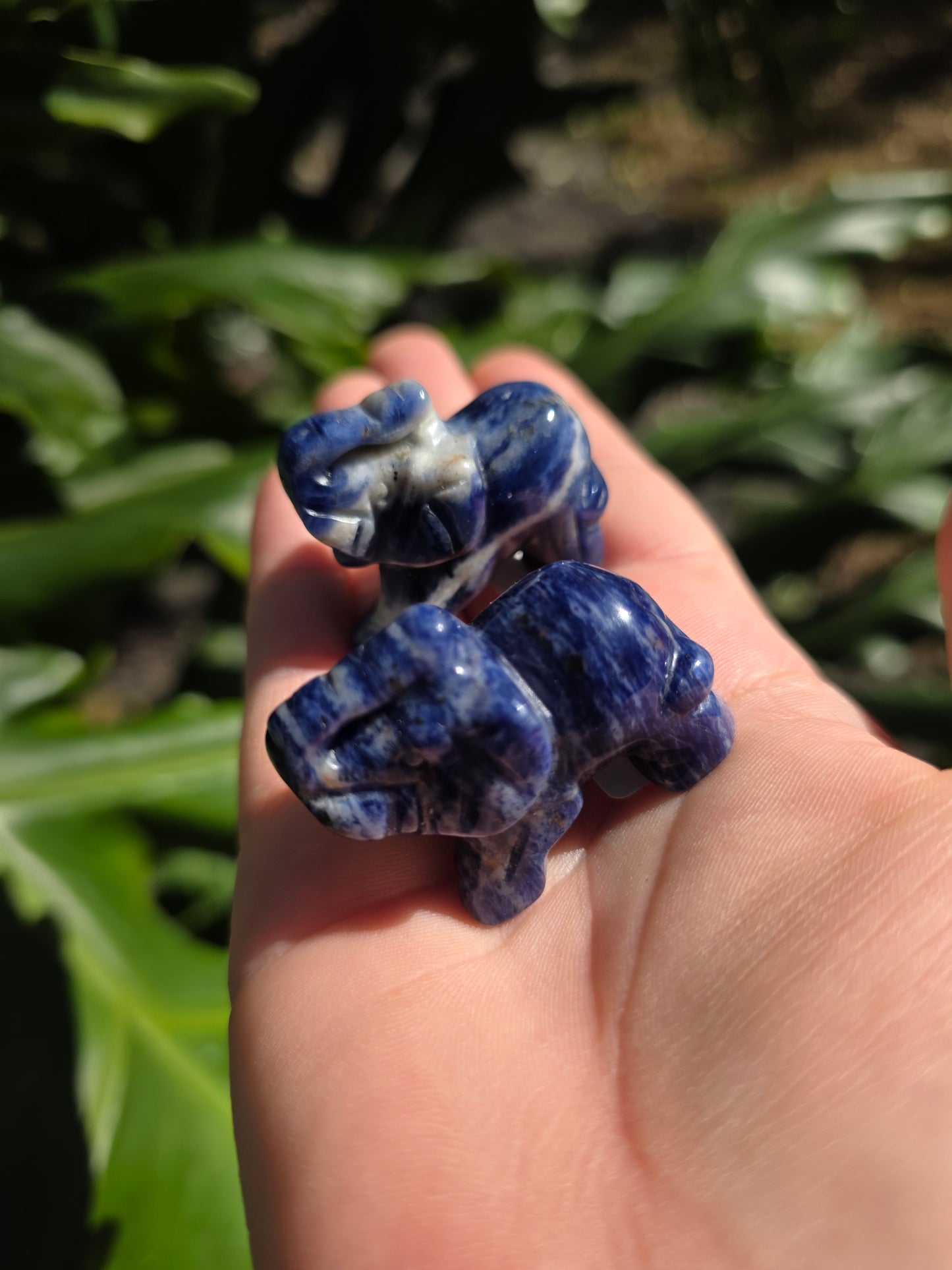 Sodalite Mini Elephant | A