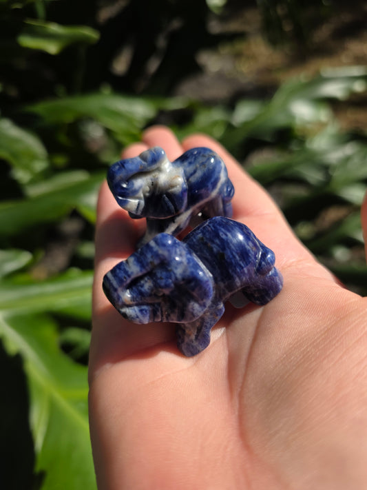 Sodalite Mini Elephant • Option A