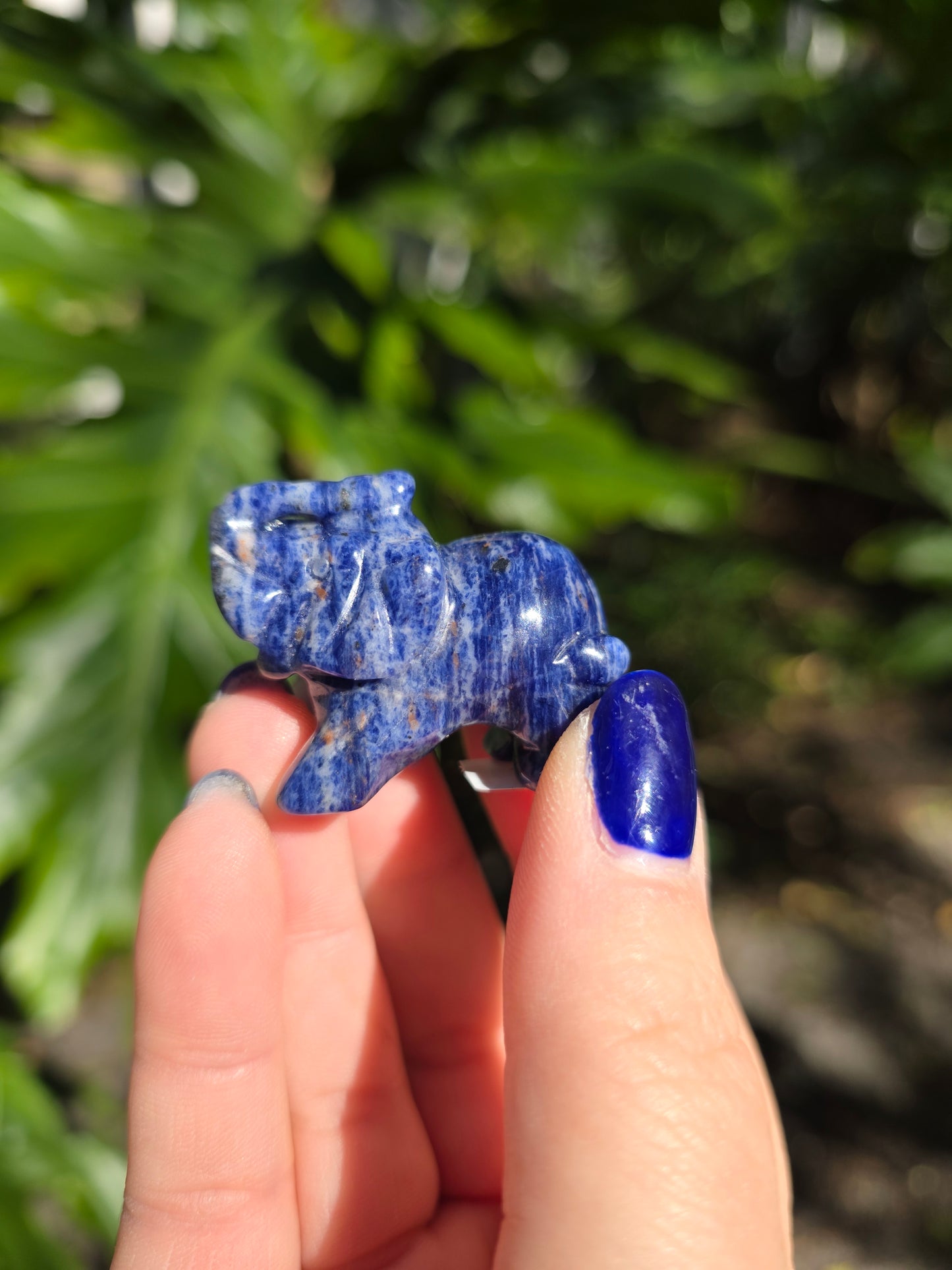 Sodalite Mini Elephant | A