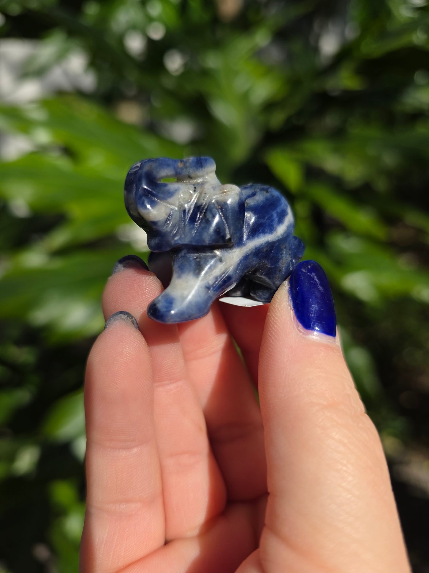 Sodalite Mini Elephant | B