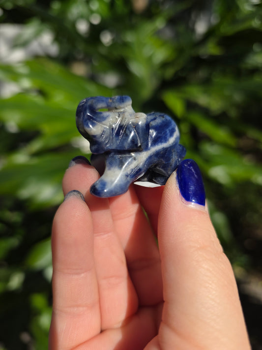 Sodalite Mini Elephant | B
