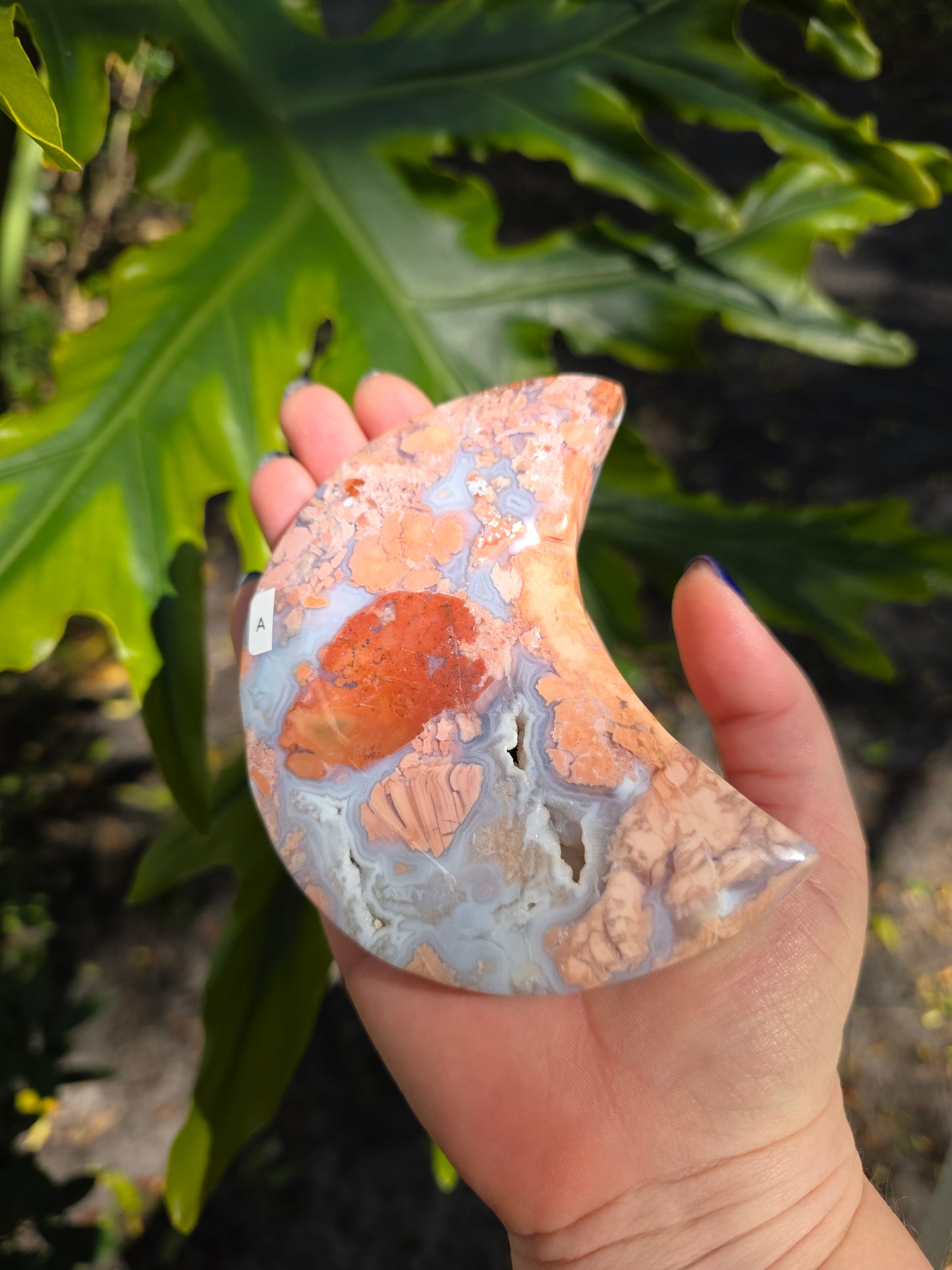 Cotton Candy Agate Crescent Moon • Option A